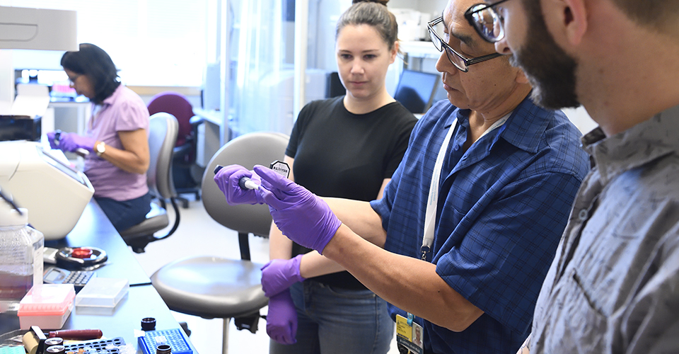 Dr. Haiping Hao working with graduate students.