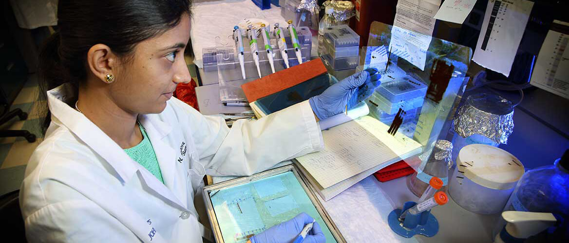 Scientist working in a lab